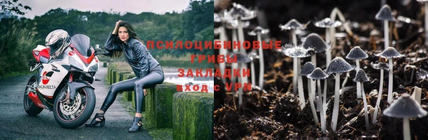 меф Вяземский