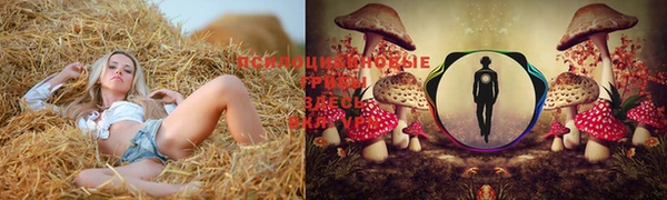 стафф Вязники