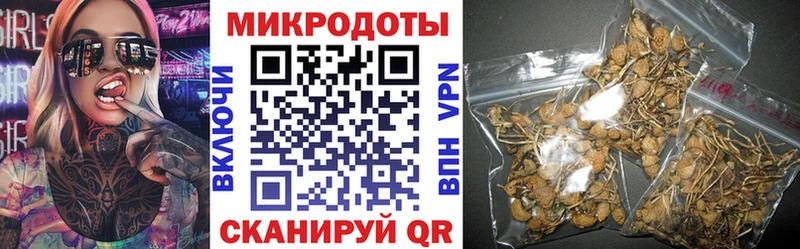 Псилоцибиновые грибы Magic Shrooms Купить Болхов